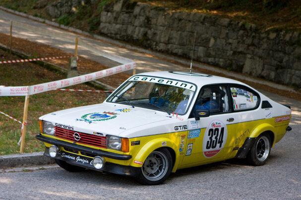 Luigi Terpin e Lorenzo Lamanda al Rally Alpi Orientali Historic 2013